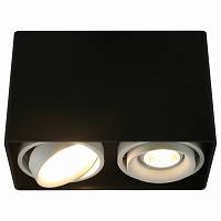 Накладной потолочный светильник Arte Lamp арт. A5655PL-2BK