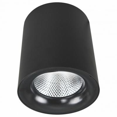 Накладной потолочный светильник Arte Lamp арт. A5130PL-1BK